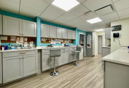 Falmouth pediatrics 005